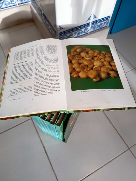 Livros As plantas nossas amigas