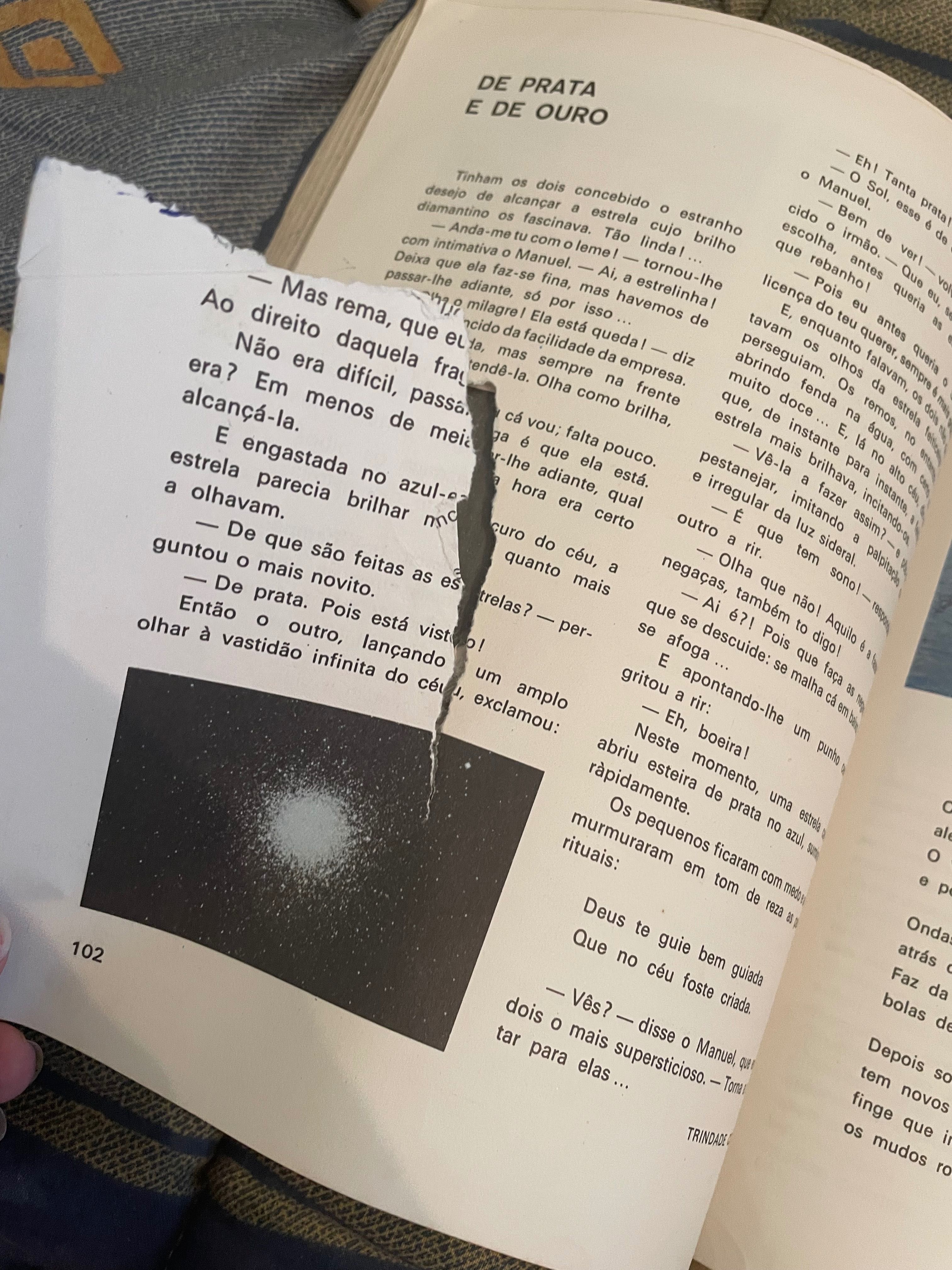 Livro Ler 2º ano