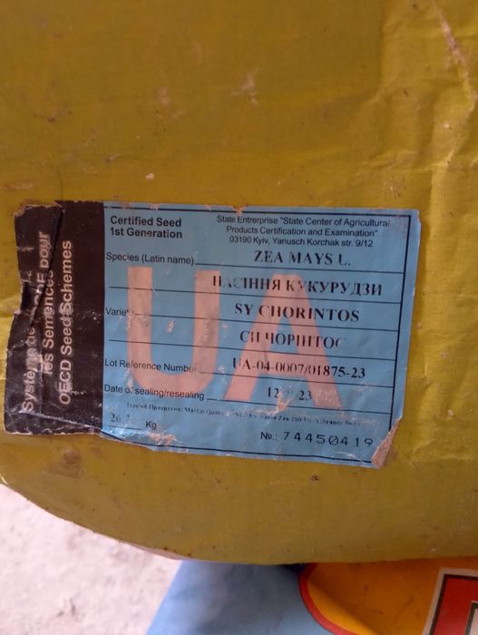 Продам кукурудзу посівну дуже гарної якості