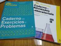 Caderno de atividades novo jogo de partículas 10 ano