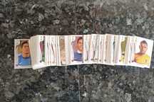 Panini Mundial 2014