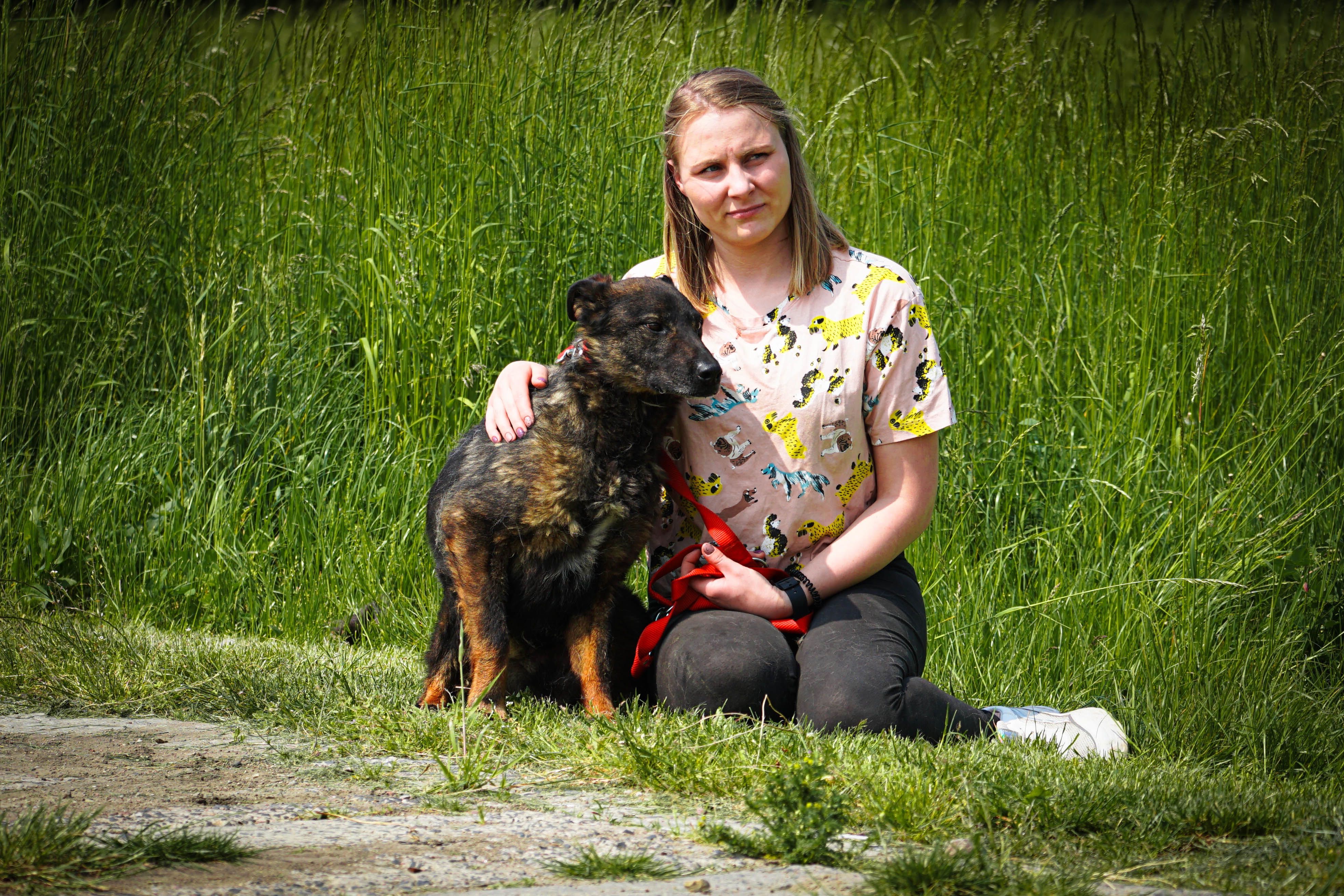 Misio czeka na swoją kolej pójścia do domku