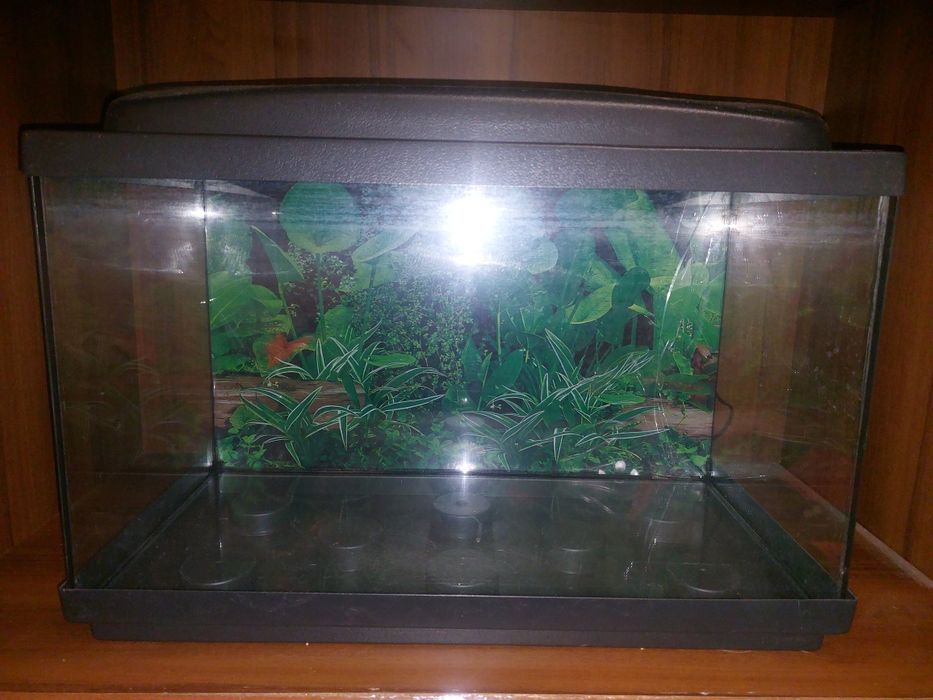 Акваріум "Природа" 60л