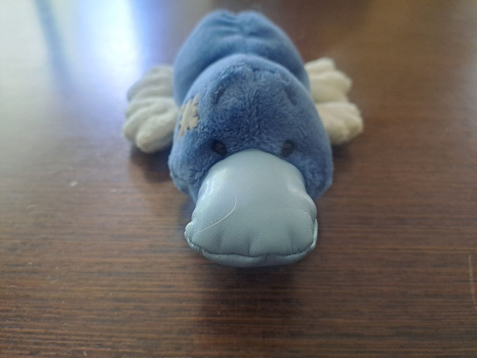 Maskotka dziobak Blue Nose