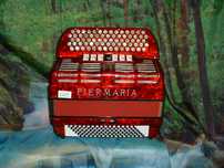 Avenda Acordeao R 605