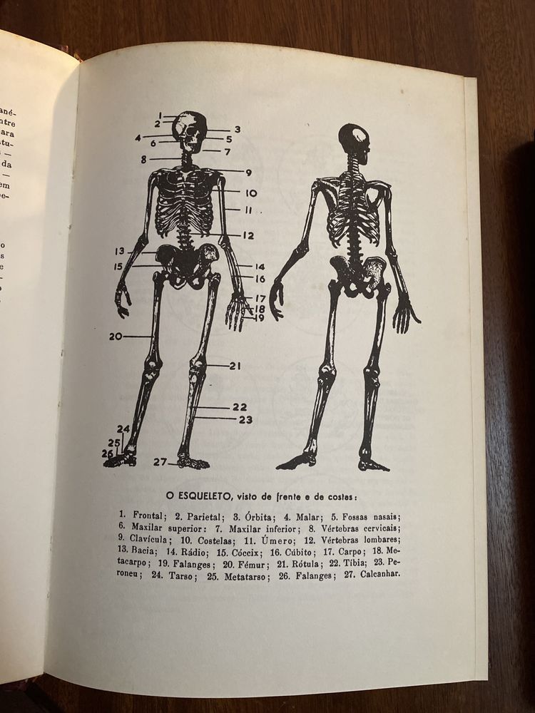 Livros “O Médico Familiar”