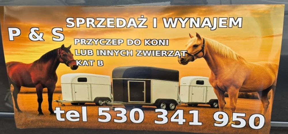 Sprzedam przyczepy do koni lub innych zwierząt na kat B Dmc 1200 kg