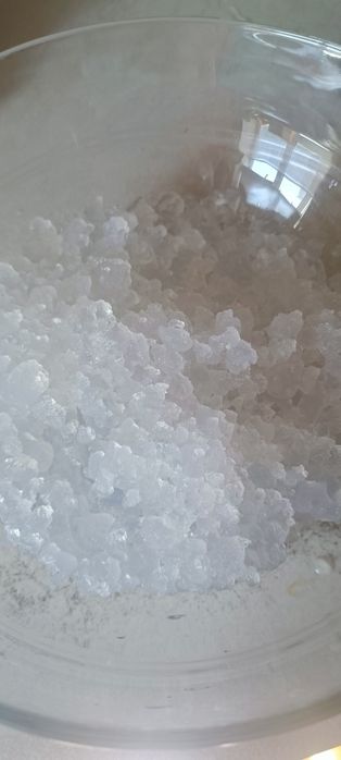 Індійський морський рис (зооглея)