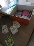 Cromos Stumble Guys
