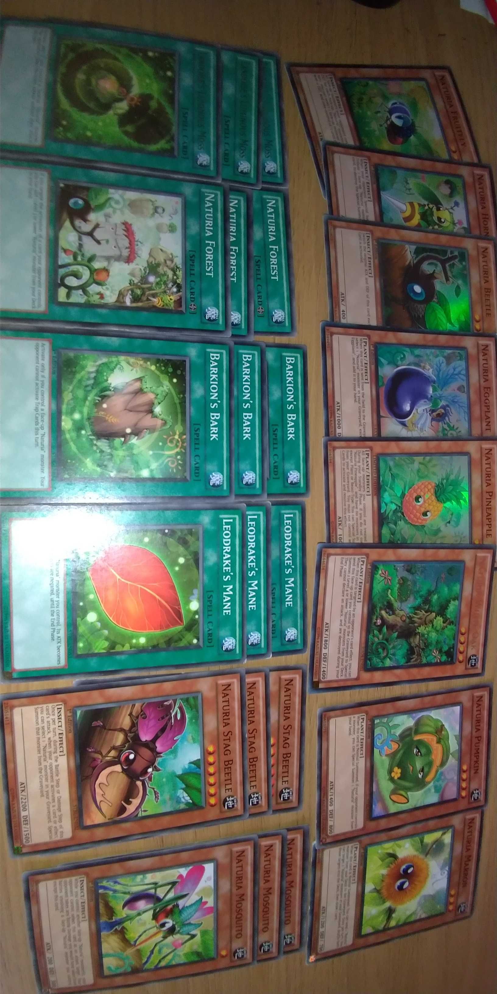 Coleção de cartas de Yugioh