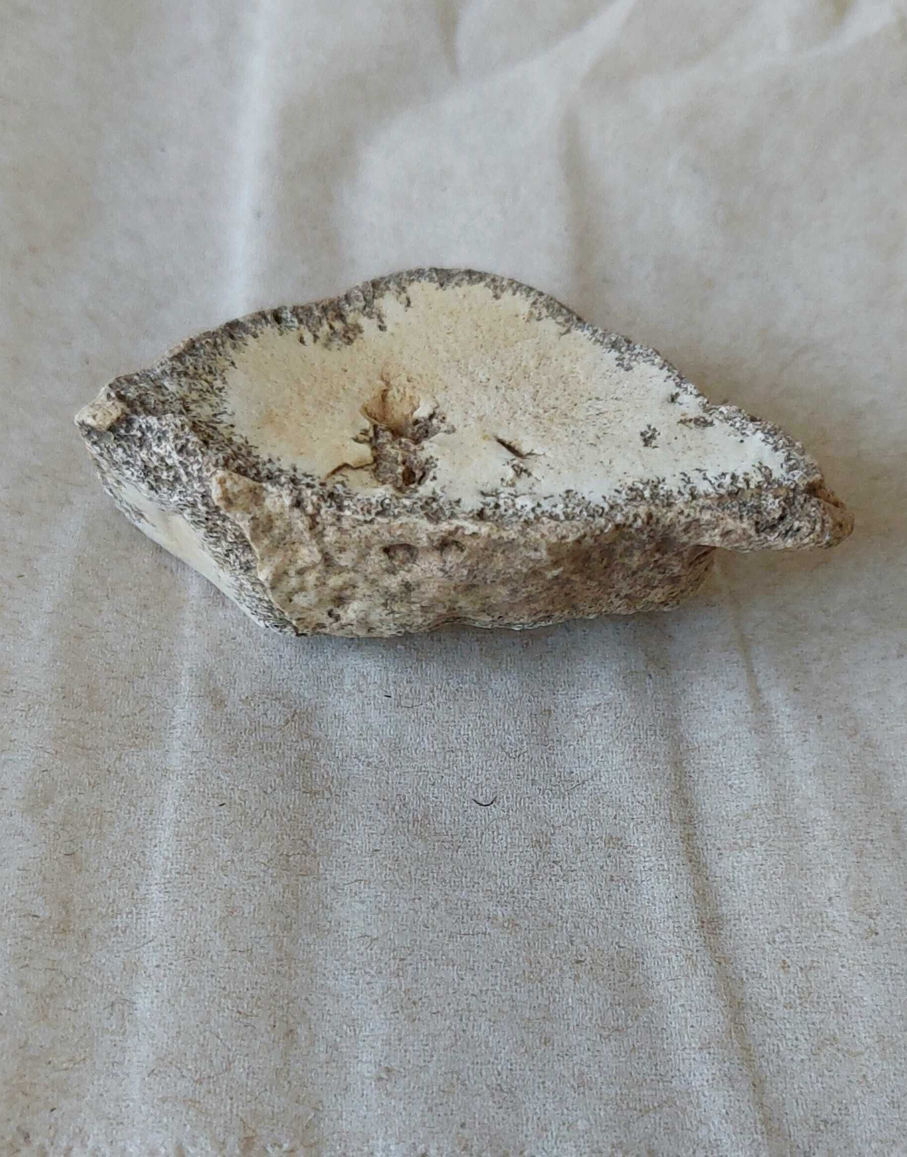 Dendrite Rock, Dendritik rock