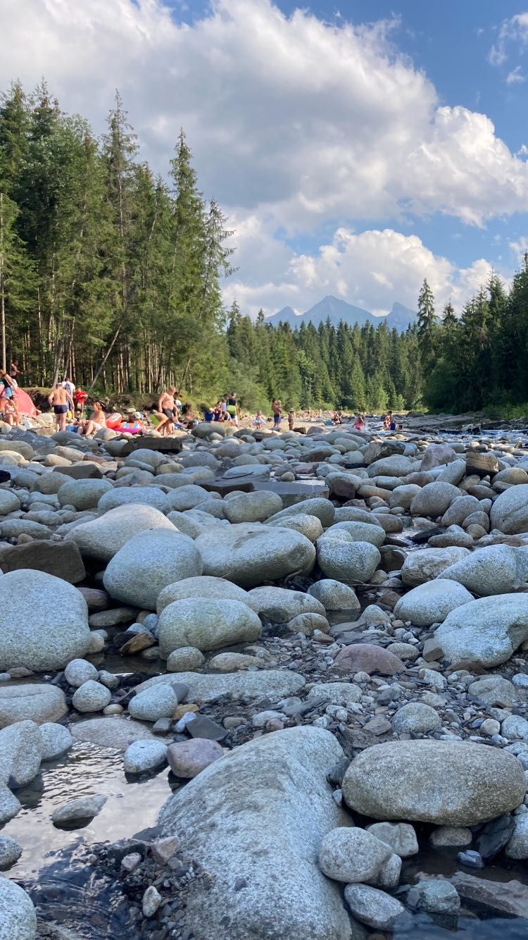 Domek w górach / Bukowina, Zakopane, Boże Ciało, Wakacje