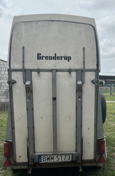 Koniara ,przewóz koni i zwierząt- Brenderup.