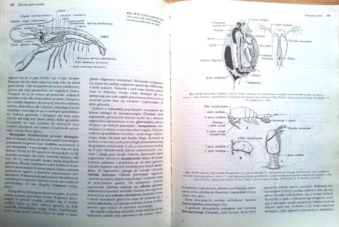 Biologia - Claude A. Villee