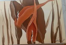 Tela NOVA 120/80CM