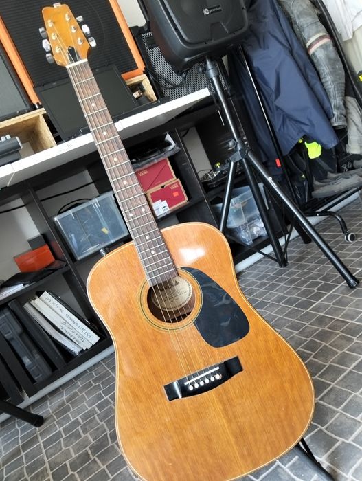 Viola Acústica 35 anos