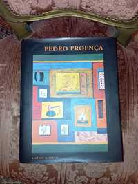 Livro de Pintura Pedro Proença