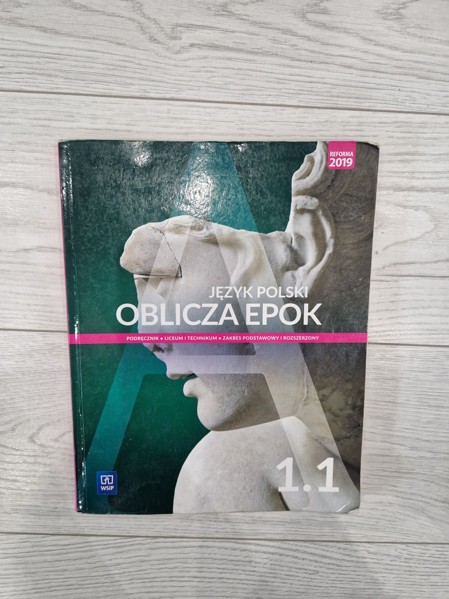 Książka oblicza epok język polski 1.1