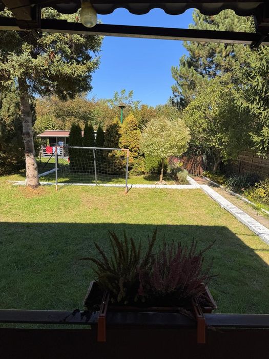 Działka rod, Ślązaczka Mysłowice