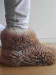 Pantufas Castanhas da Serra da Estrela