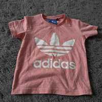 Bluzka t-shirt  adidas dziewczynka 92