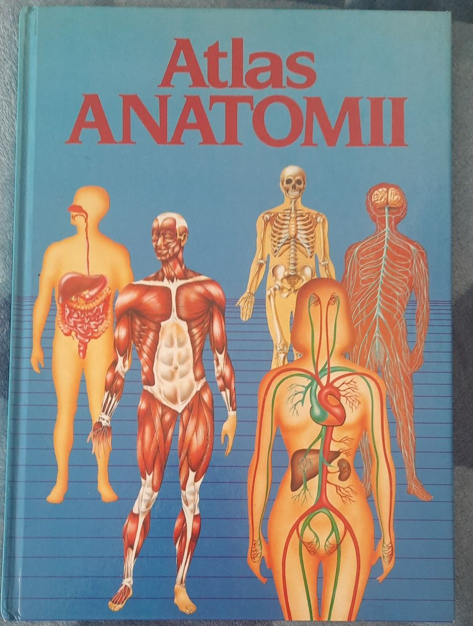 Atlasy Anatomi 2 książki