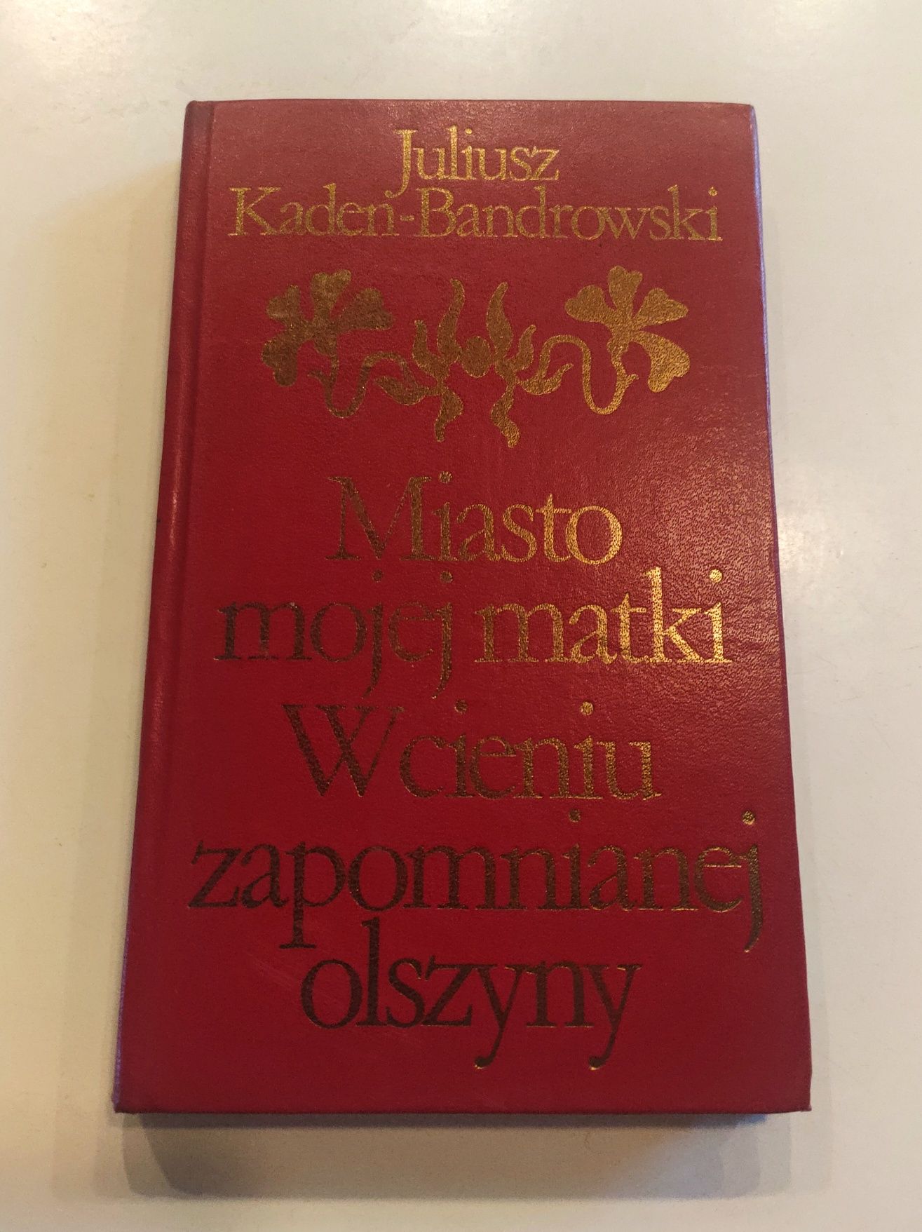 Kaden-Bandrowski "Miasto mojej matki, w cieniu zapomnianej olszyny"