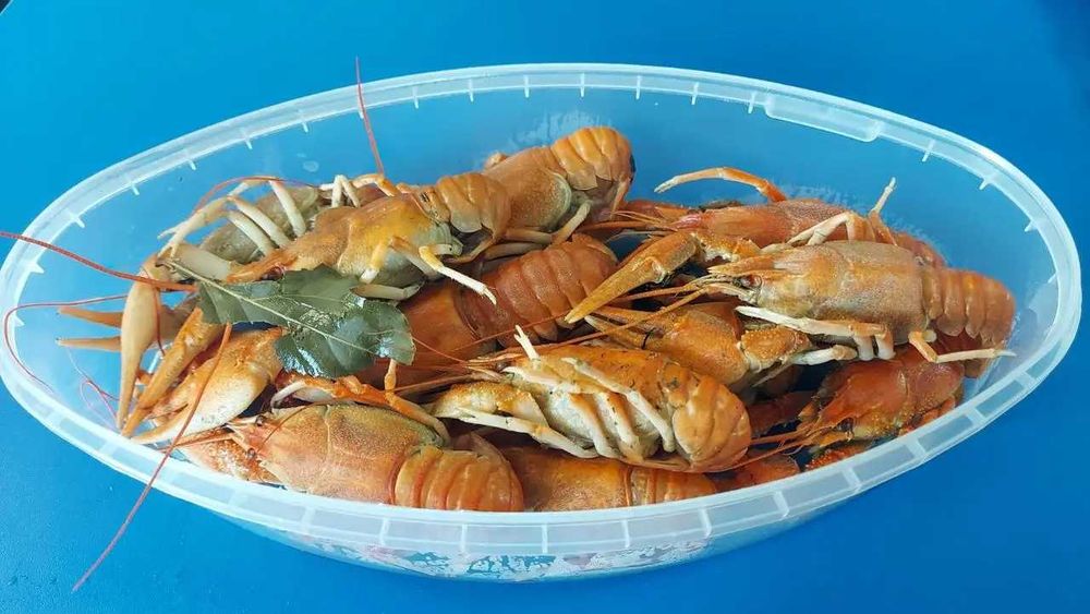 Раки варені морожені 500грам (лодочка) з Вилкове до 17шт/упак