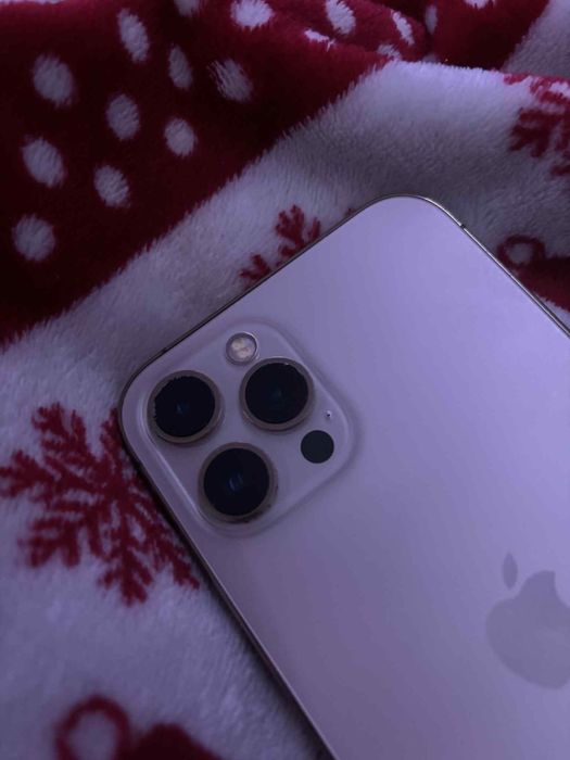 iPhone 12 Pro Max 512Gb