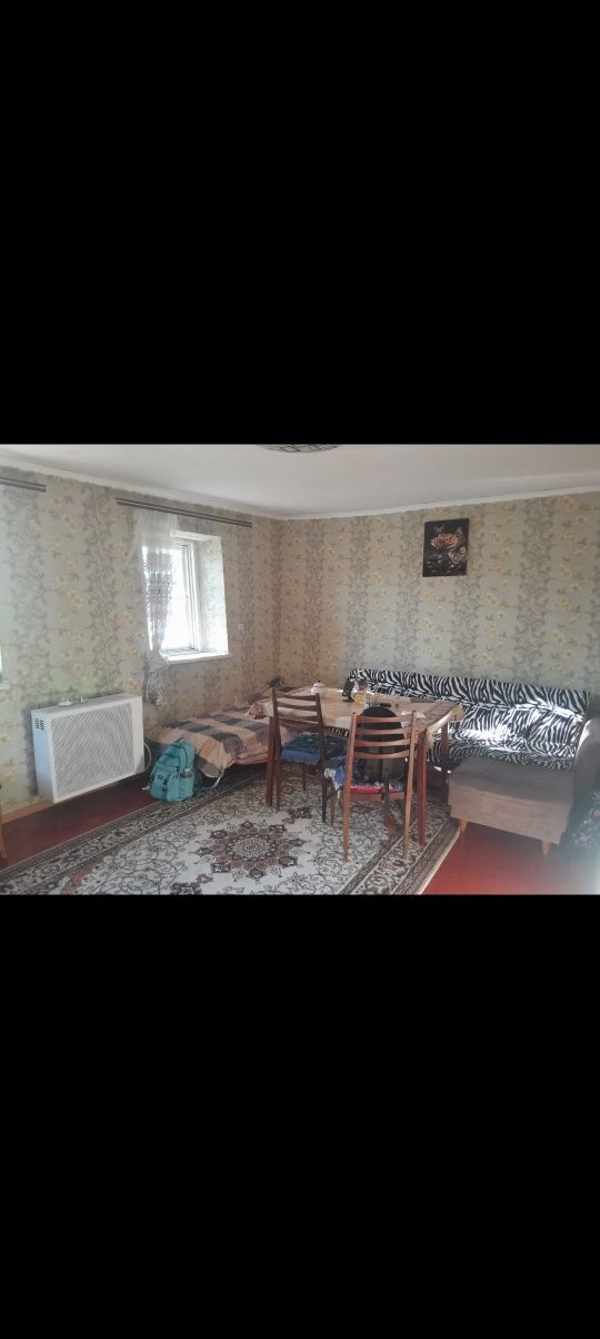 Продам дом в Тритузном по центральной улице.