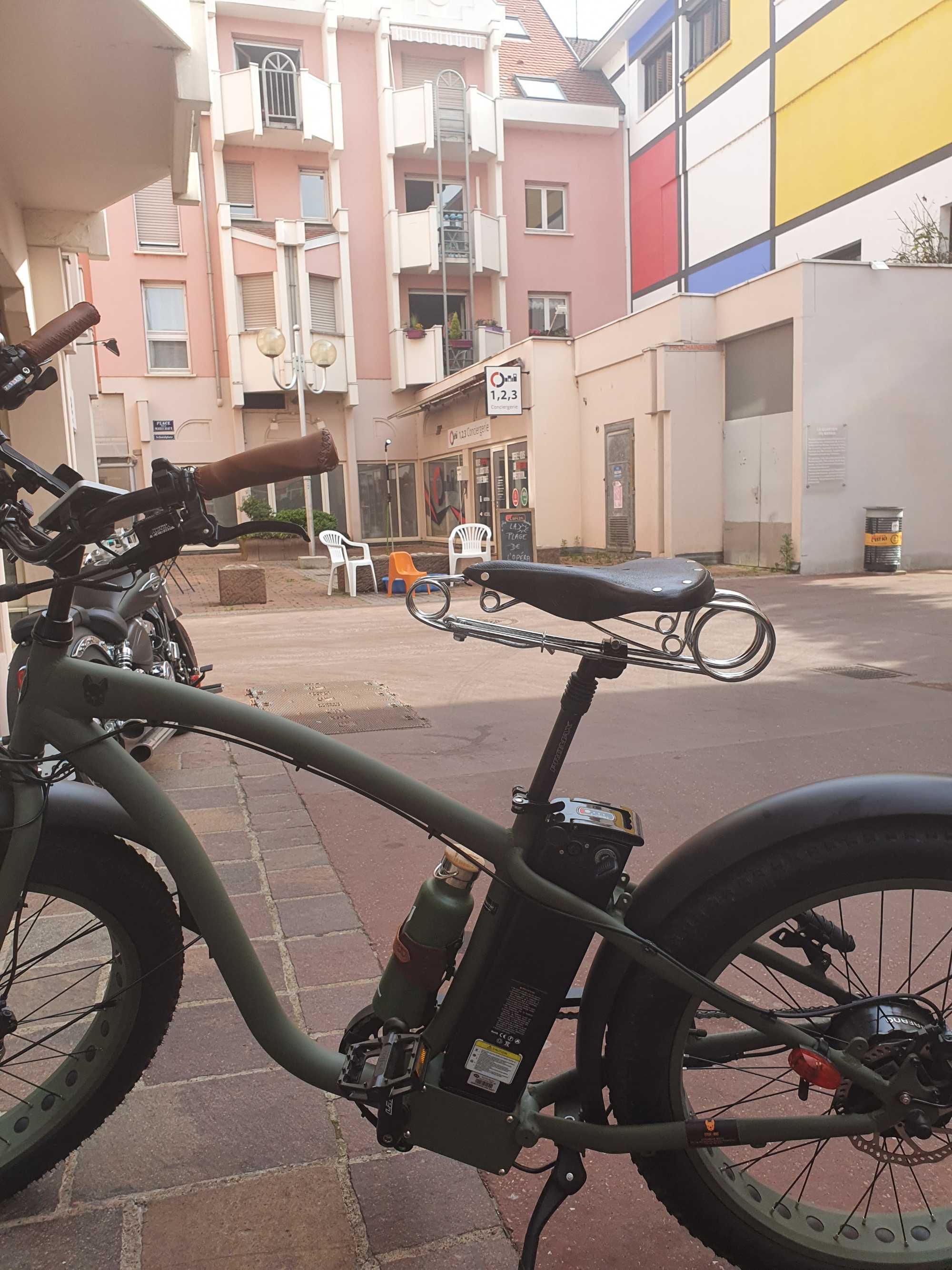Beach cruiser fat bike
