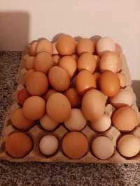 Ovos de galinha caseiros