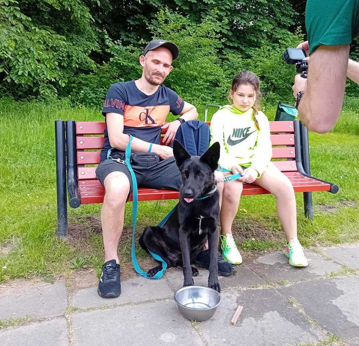 MUFASA - 1,5-roczny, łagodny, lubi koty {FILMIKI}