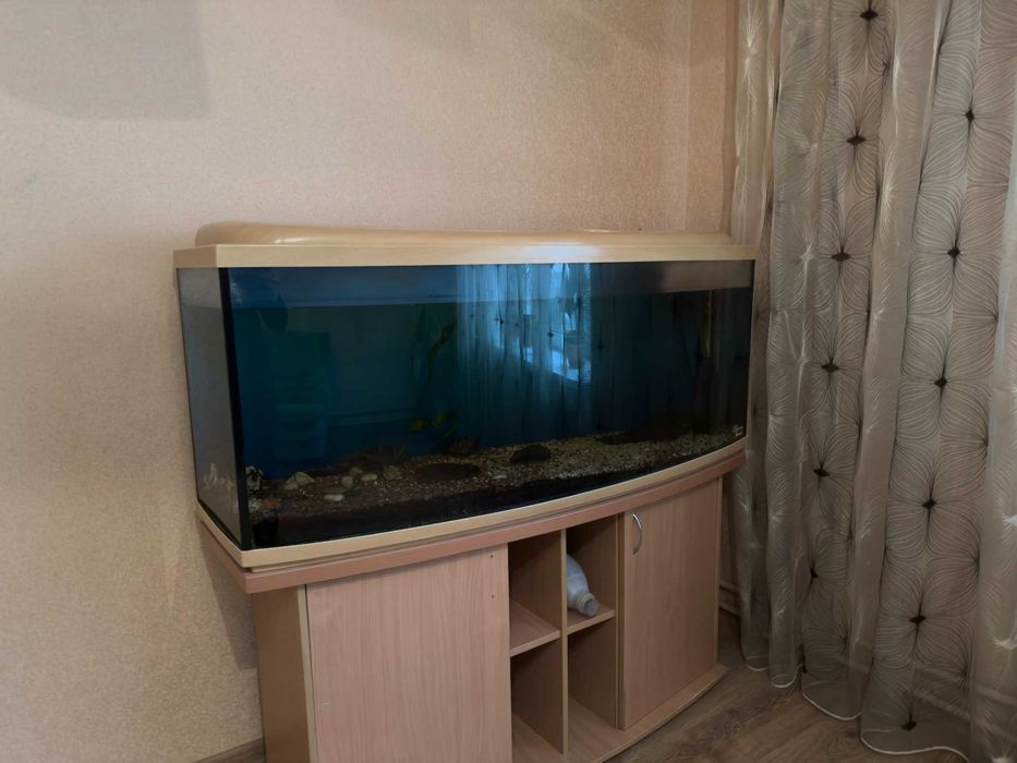 Акваріум 240л з тумбою, фільтр FLUVAL FX-5, стан хороший. Торг