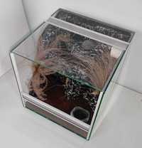 Terrarium dla ptasznika, TW49ST, AquaWaves