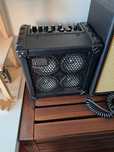 Roland Micro Cube Bass RX