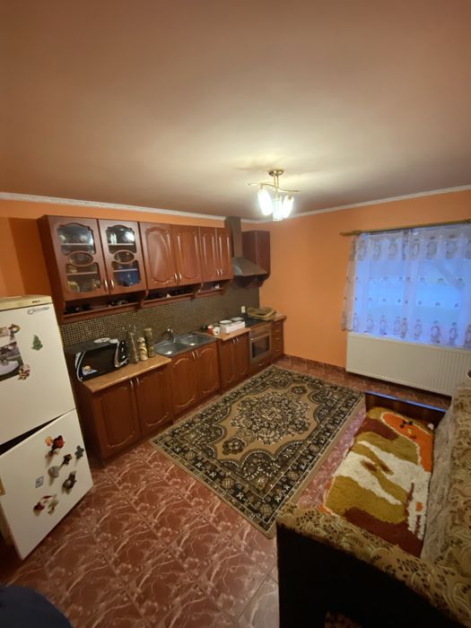 Продам будинок у передмісті Берегова