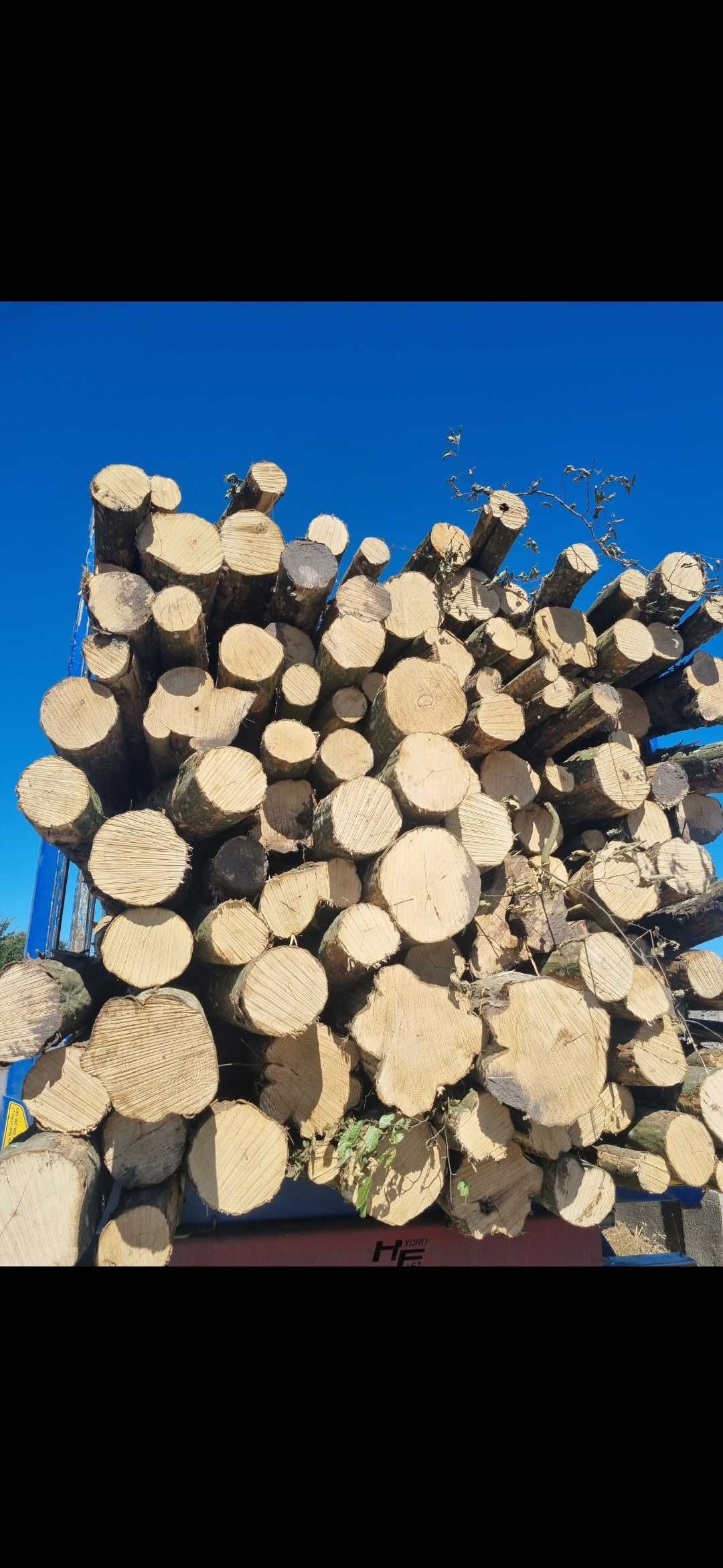Drewno opałowe Kominkowe metry wałki do pieca