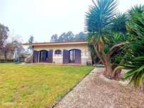 Moradia Isolada T4 em São Roque, Oliveira de Azeméis
