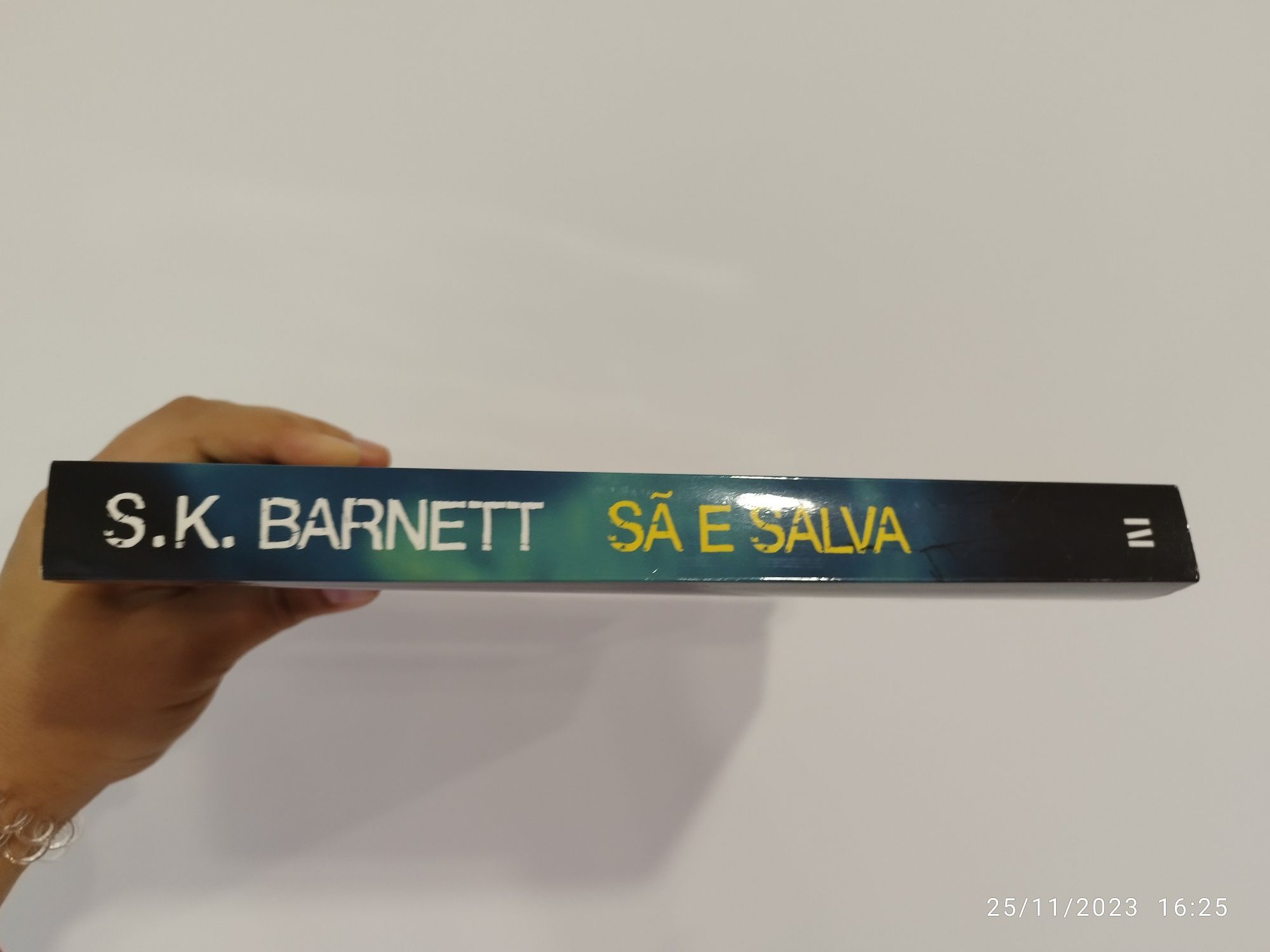 Livro sã e salva de S.K. Barnett
