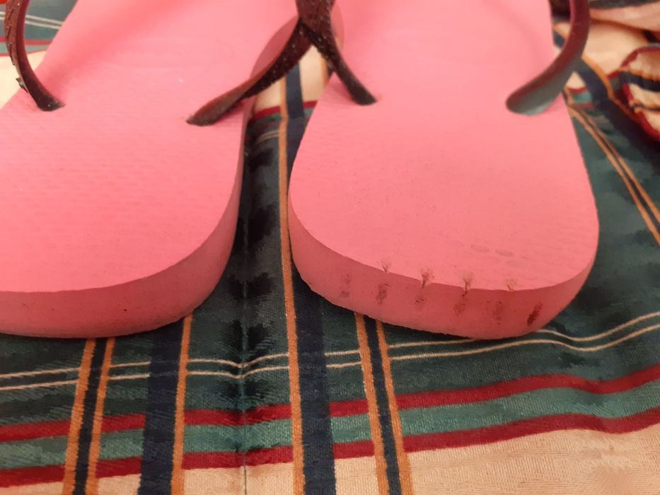 Chinelos havaianas