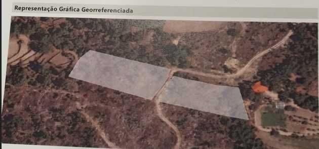 Casas, quintais, Arrumos, terrenos no Castedo