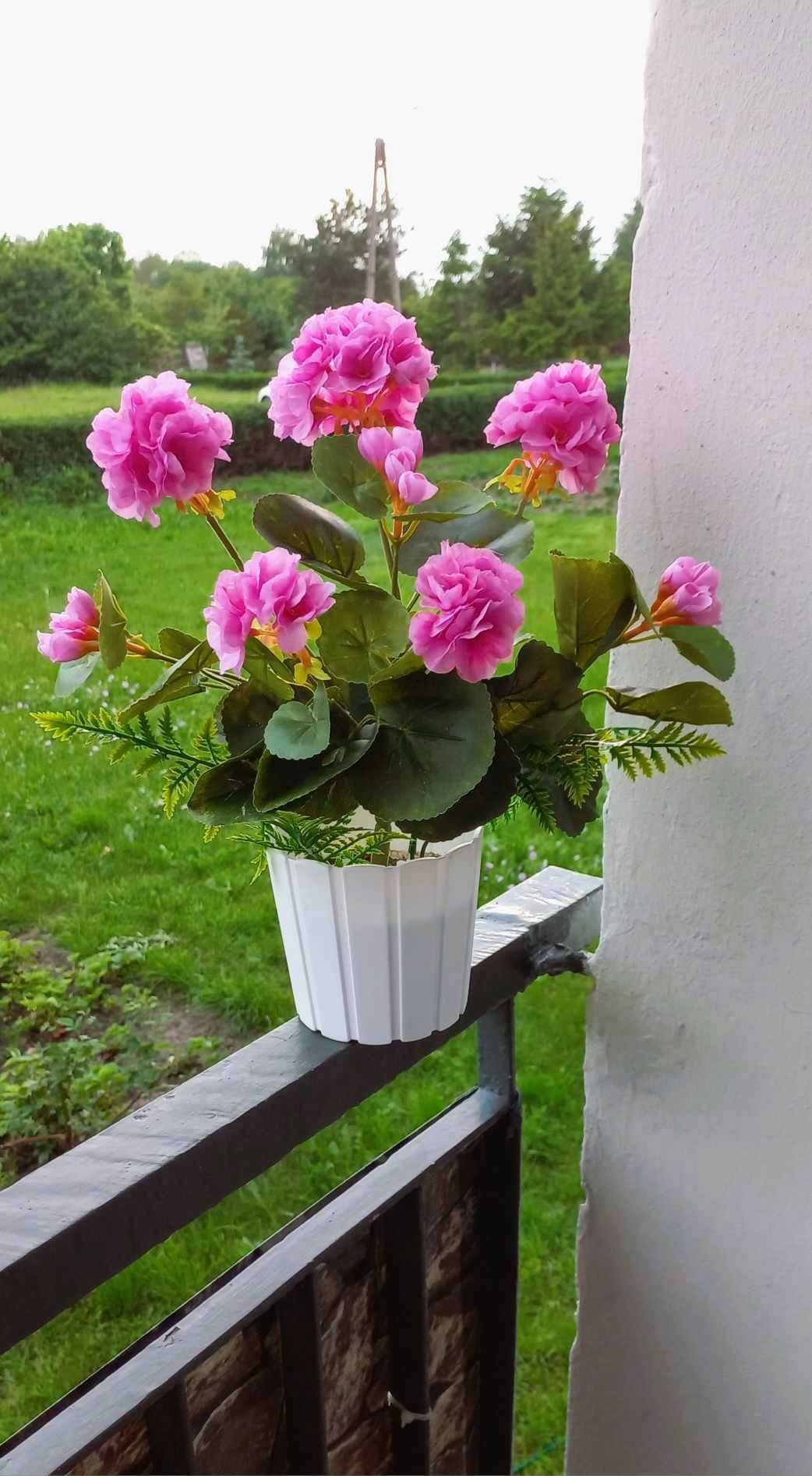 Trwała pelargonia z motylkiem,  w masywnej doniczce - jak żywa :)