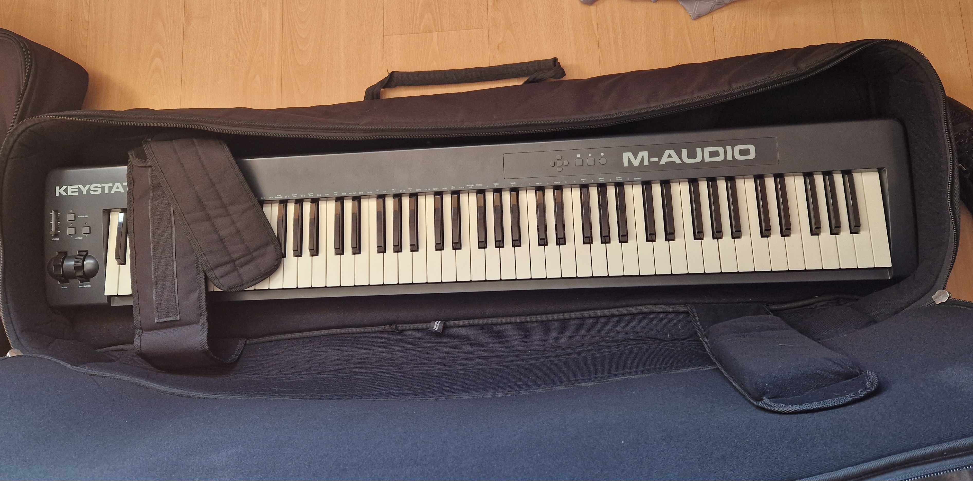 Keyboard Bag (Gator - 88 teclas)