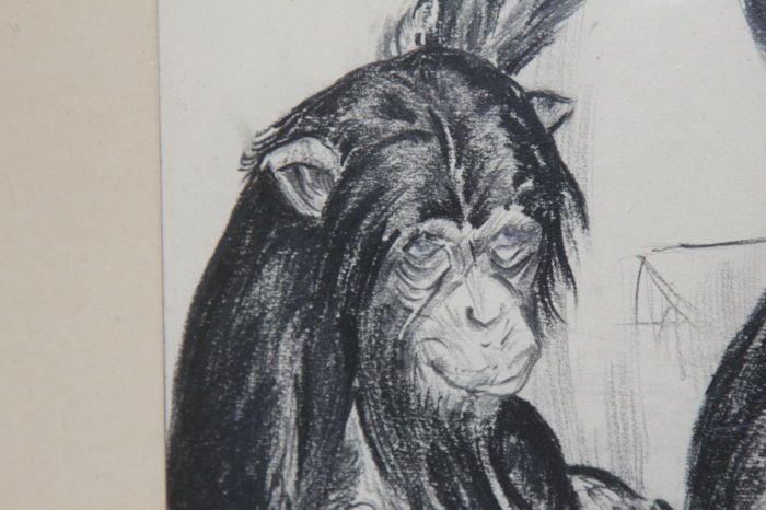 Desenho em carvão vegetal do artista Holandês Van Laere - 1943