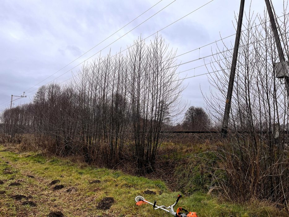 Koszenie trawy karczowanie oczyszczanie działek pod inwestycje
