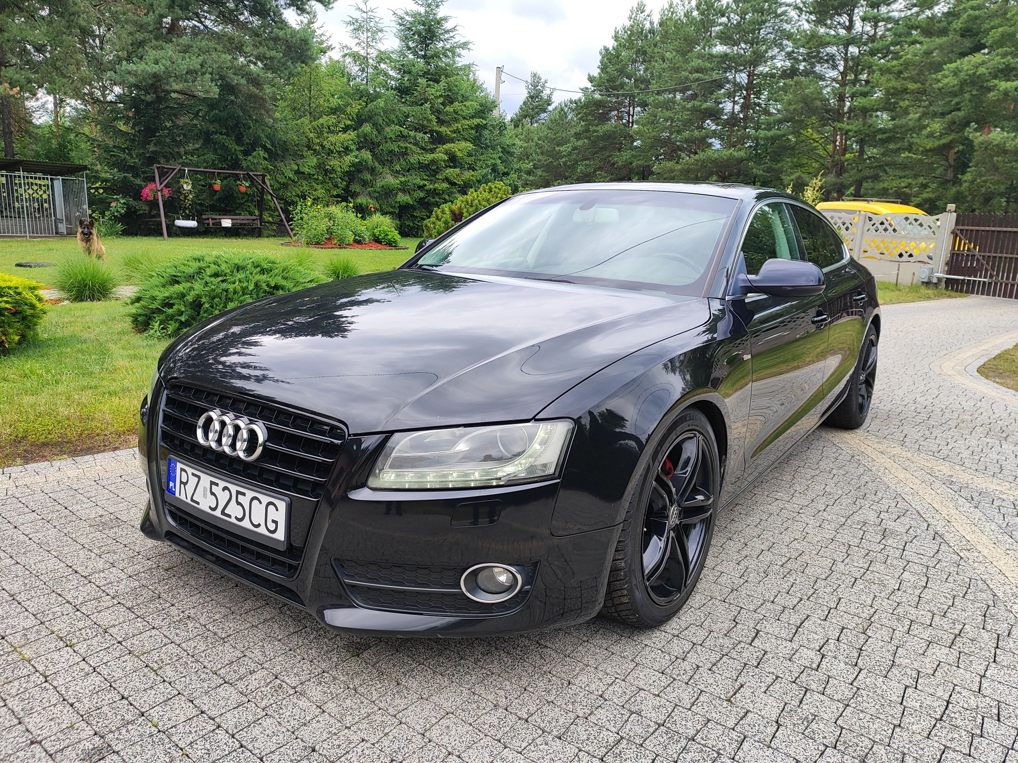 Audi A5 S-LINE 2.7TDI 190KM V6, Automat, Skóry, Szyberdach, Okazja!