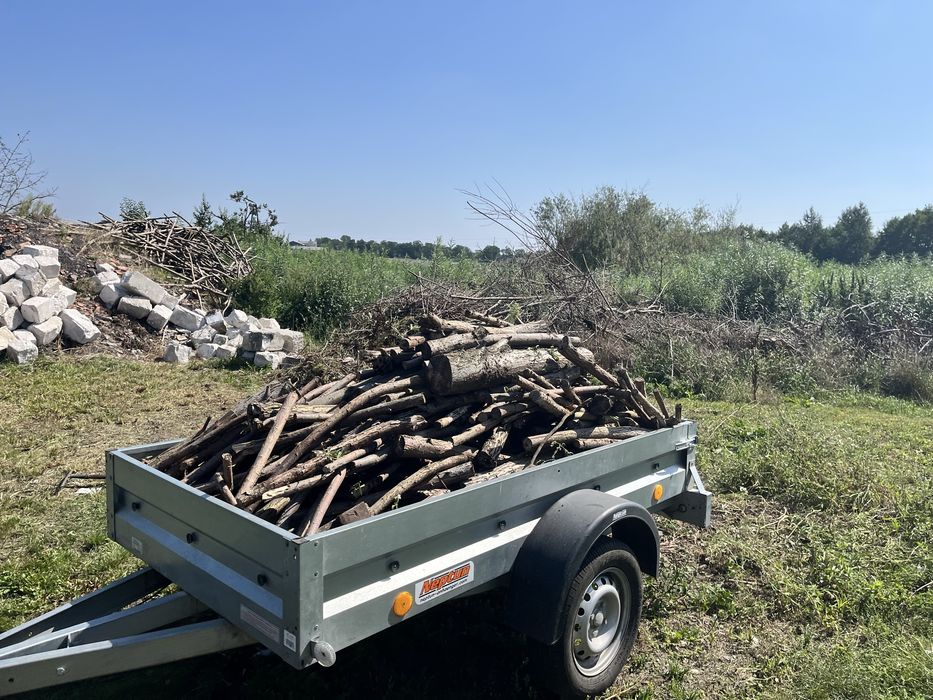 Drewno opałowe suche – ilość nieograniczona
