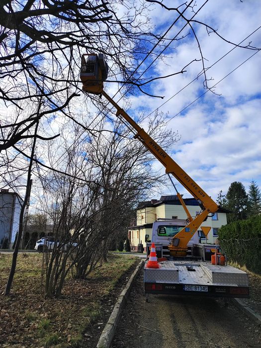 Wycinka, przycinka drzew, rembak!!