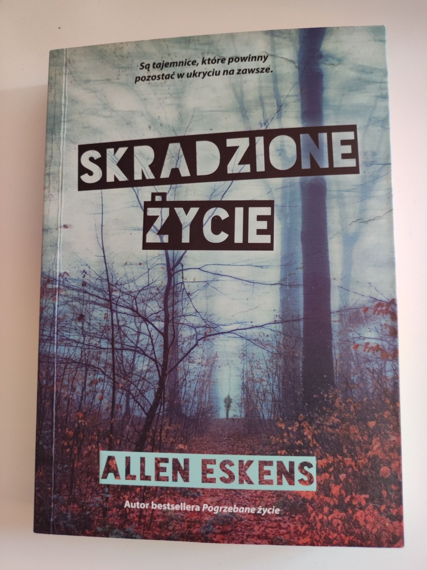 Skradzione życie Allen Eskens